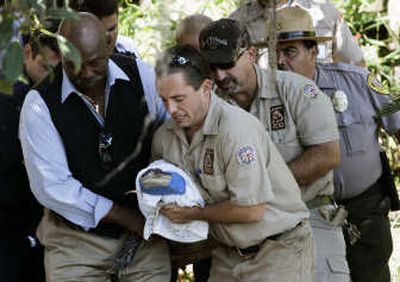 
os Angeles Zoo officials carry Reggie to the reptile exhibit  Aug. 9. The alligator, which eluded officials at an urban lake for almost two years, temporarily escaped Wednesday morning. Associated Press photos
 (Associated Press photos / The Spokesman-Review)