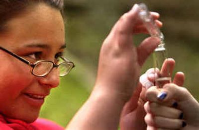 Tara Lucas pours water from Thompson Creek into a test tube. Students tested the water for fecal chloroform, phosphate, dissolved oxygen and nitrate.Tara Lucas pours water from Thompson Creek into a test tube. Students tested the water for fecal chloroform, phosphate, dissolved oxygen and nitrate.
(Holly Pickett/Holly Pickett/ / The Spokesman-Review)