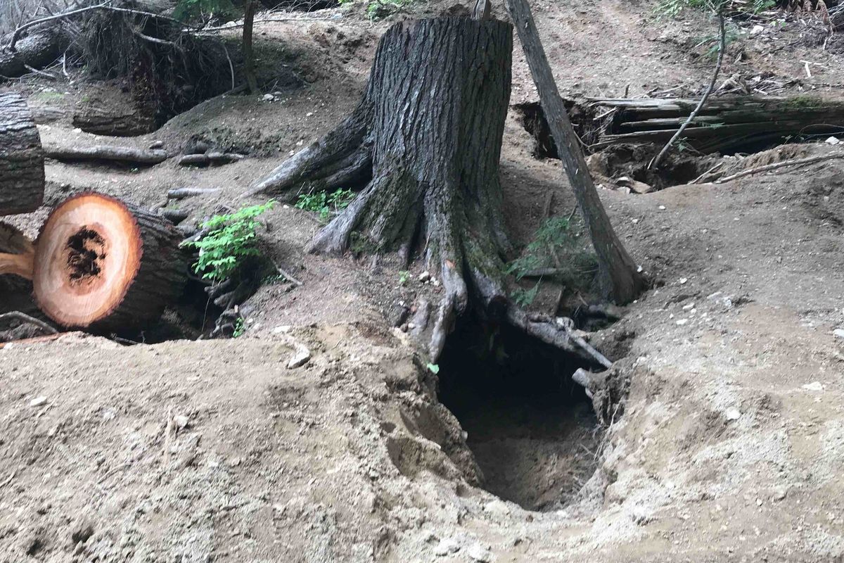A hole at the Solo Creek rockhounding site.  (Courtesy of the U.S. Forest Service)