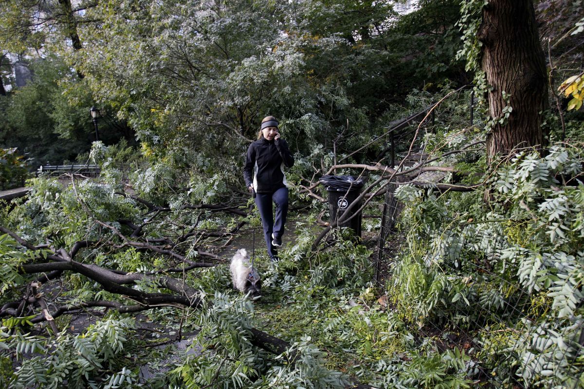 A women steps over downed tree limbs while walking her dog in Central Park in New York on Monday. The group that manages Central Park estimates that the New York City park may lose 1,000 trees because of the snowstorm. (Associated Press)