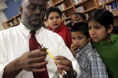 
Students at 112th Street Elementary School gather around teacher Stan White to see the tarantula he holds. 
 (Los Angeles Times / The Spokesman-Review)