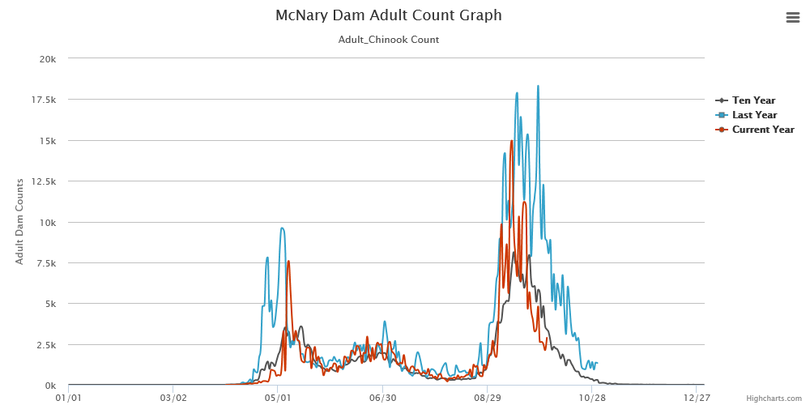 Counts of fall chinook over McNary Dam before the salmon enter the Hanford Reach of the Columbia River. (Fish Passage Center)