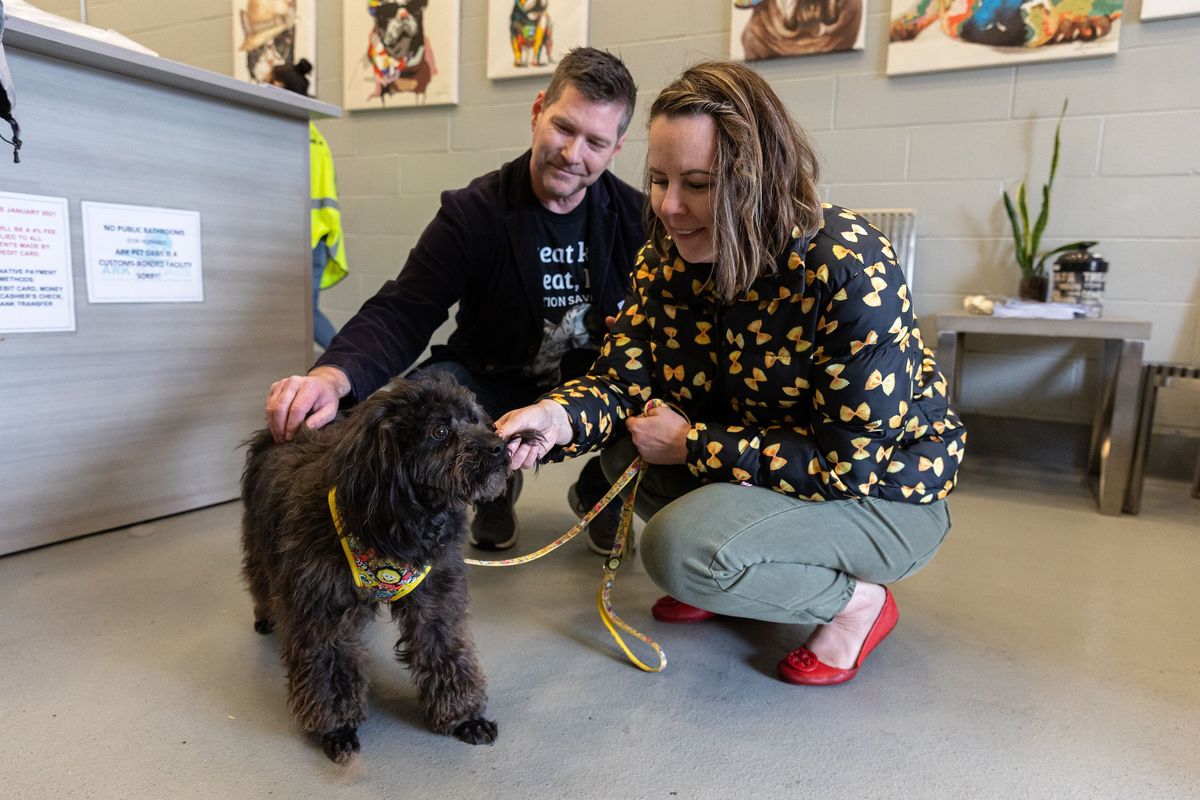 Amy Carrico, right, and her husband Greg greet their adopted dog Thursday at The Ark at JFK, Brooklyn, New York.  (Shawn Inglima/New York Daily News/TNS)