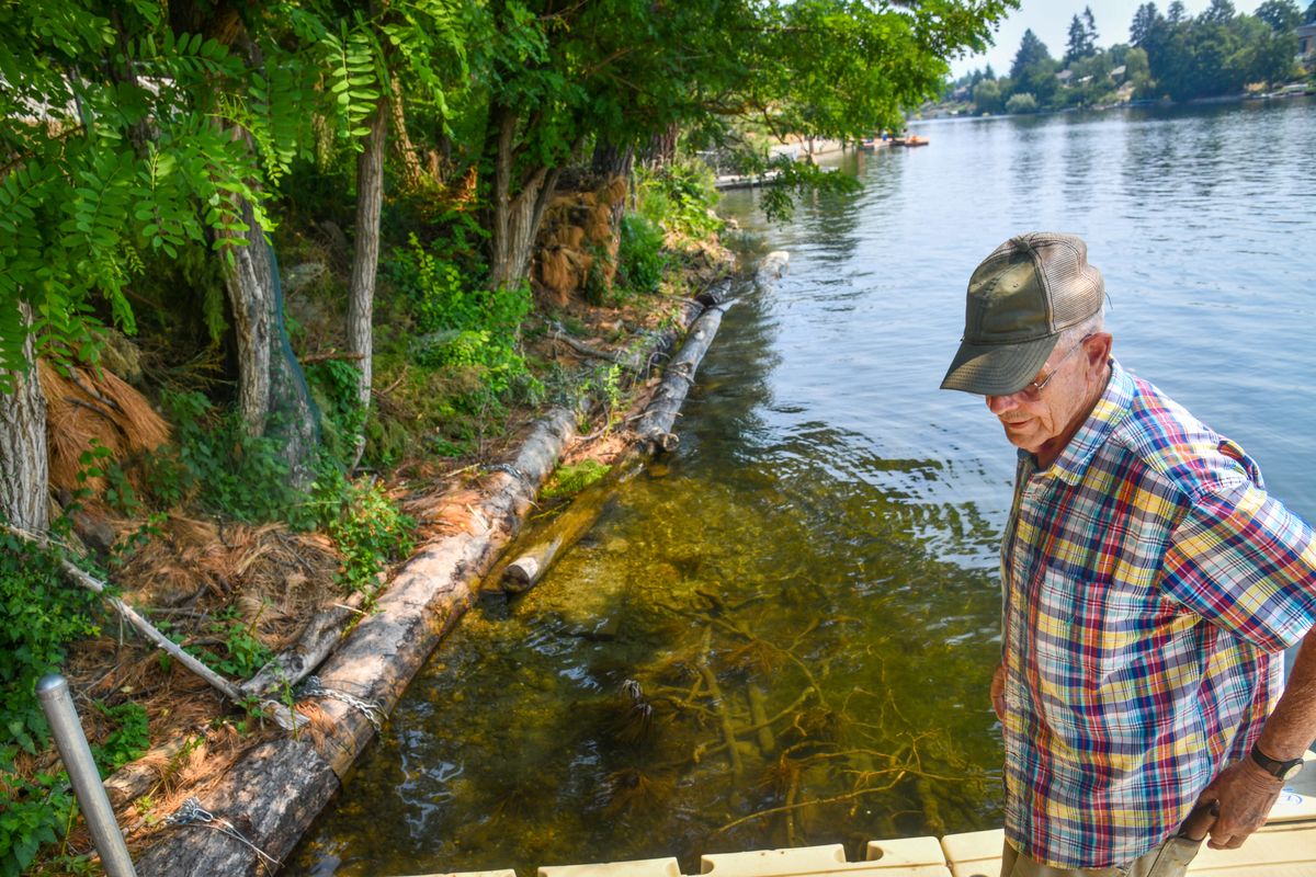 Dave Mielke lives along the Spokane River between the Argonne bridge and Boulder Beach. Here he views his shoreline property, Tuesday afternoon, July 13, 2021. Mielke says boats are going by too fast, creating wakes and causing erosion. He has installed logs along the bank to try and prevent further damage.  (Dan Pelle/THE SPOKESMAN-REVIEW)