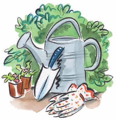 
Gardening, watering can, trowel, gloves, plants, bush, tools, fowers... Staff illustration.
 (Staff illustration/ / The Spokesman-Review)
