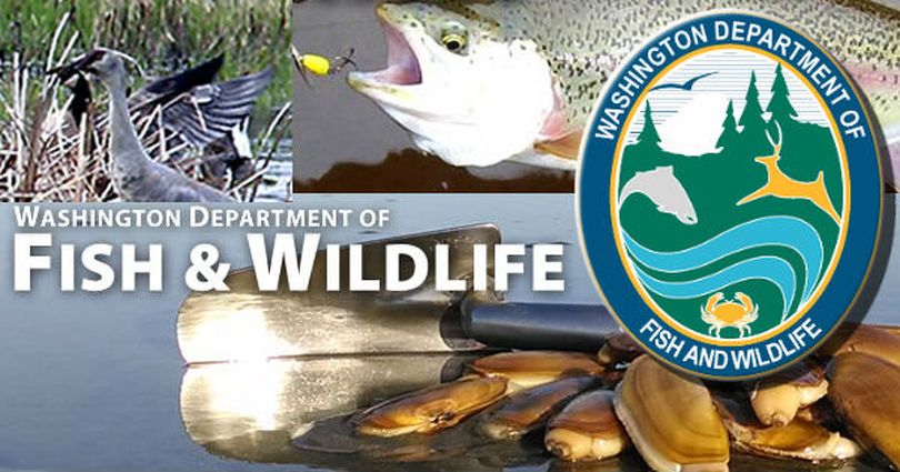 Washington Department of Fish and Wildlife logo.