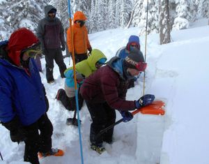 Students practice the Compression Test at a Avalanche Level 2 field class presented near Sandpoint by Selkirk Outdoor Leadership & Education (SOLE) and Selkirk Powder. (Courtesy)