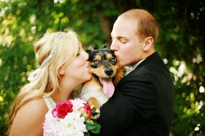 Kaycee and John English, give a kiss to Bowser, their 1-year-old rescued Australian Shepherd at their wedding ceremony. (Associated Press / The Spokesman-Review)