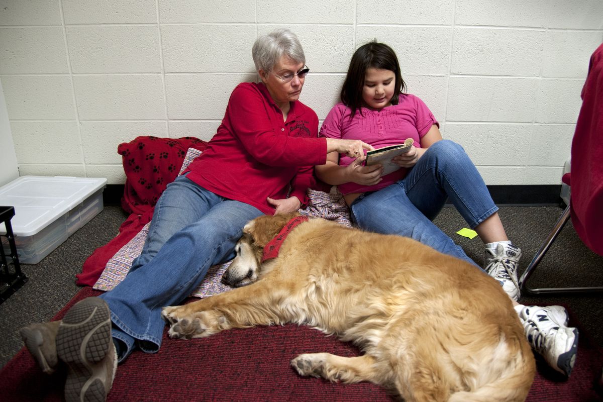 Reading Rovers volunteer Sue Ferney and her golden retriever, Harry, listen to Roosevelt fifth-grader Liberty Phan read “Absolute Lucy” on Wednesday. The program helps students learn to read because they find the dogs far less intimidating to read to than humans. (Dan Pelle)