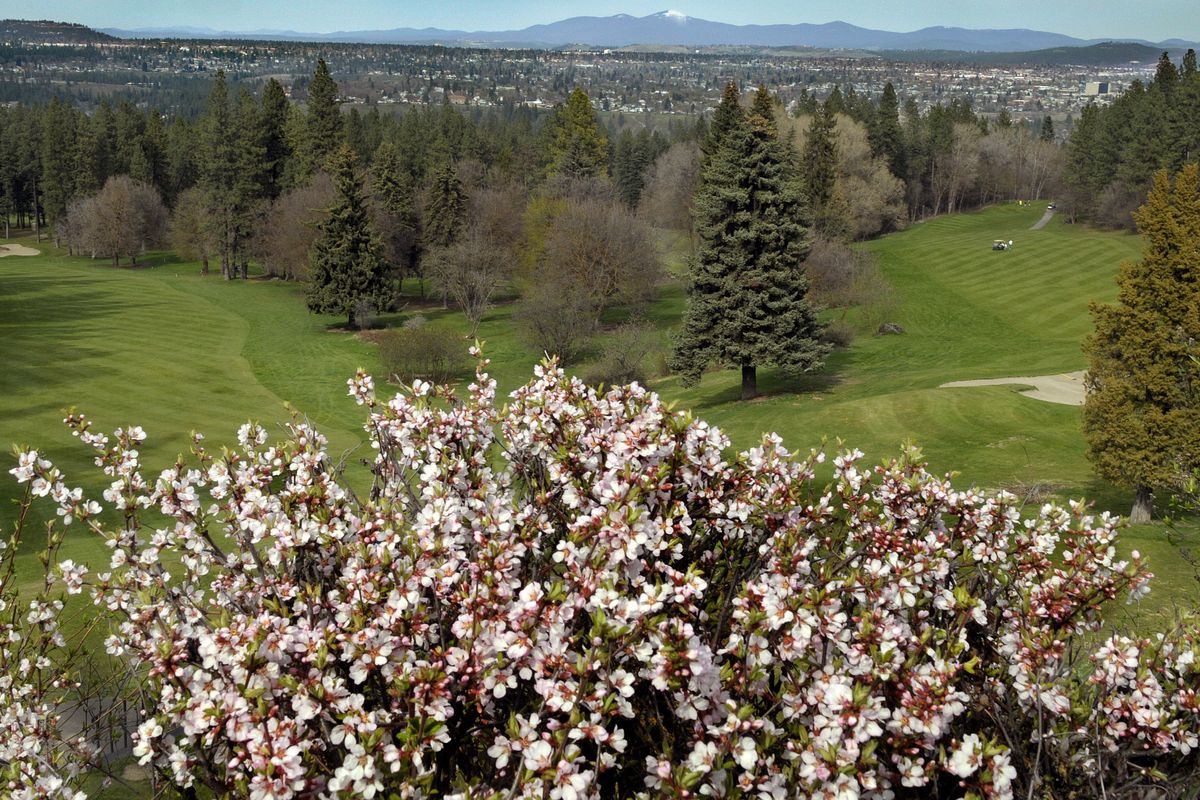 A panoramic view of the Spokane area – including Mt. Spokane in the distance – awaits golfers from this viewpoint near the first tee box at Indian Canyon GC. Pictured: Hole Nos. 1 (left) and 9. (FILE)