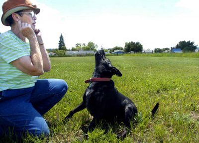 
Shirley Torgrimson and her dog play in her Spokane Valley back yard on Wednesday.  Her property assessment from Spokane County jumped from $2,000 to $26,000 in a year. 
 (Holly Pickett / The Spokesman-Review)