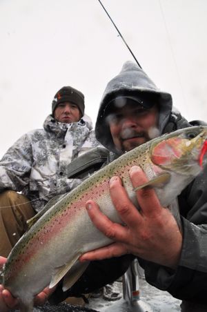 Undaunted by a snow storm, Jerrod Gibbons works with cold hands to land a nice hatchery hen for Jason Verbeck as they were steelhead fishing on the Okanogan River in the first week of March.  Gibbons runs Okanogan Valley Guide Service for hunting and fishing out of Omak. (Rich Landers)