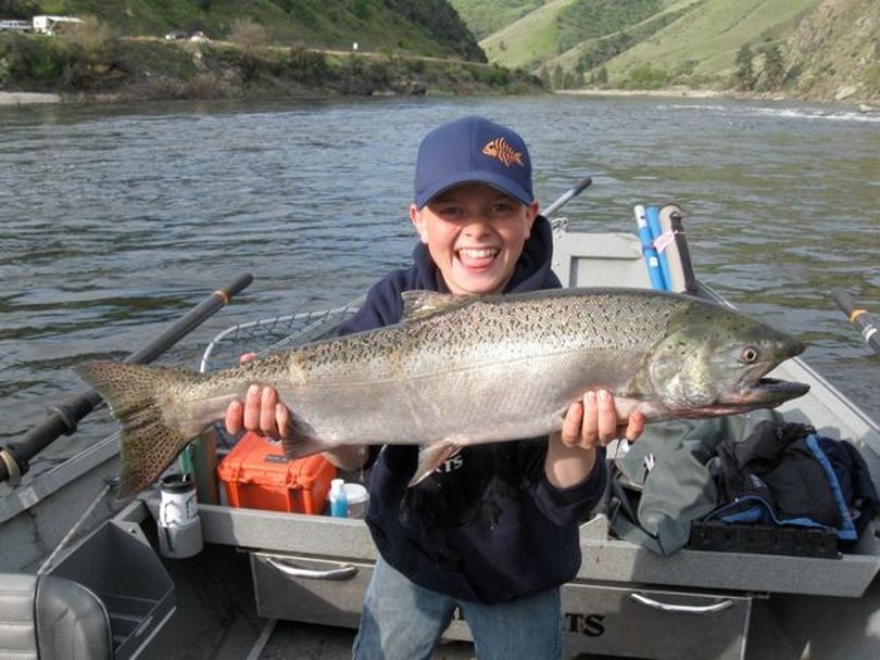 A spring chinook salmon caught in the Salmon River near Riggins, Idaho, in spring 2010. (Exodus Wilderness Adventures)