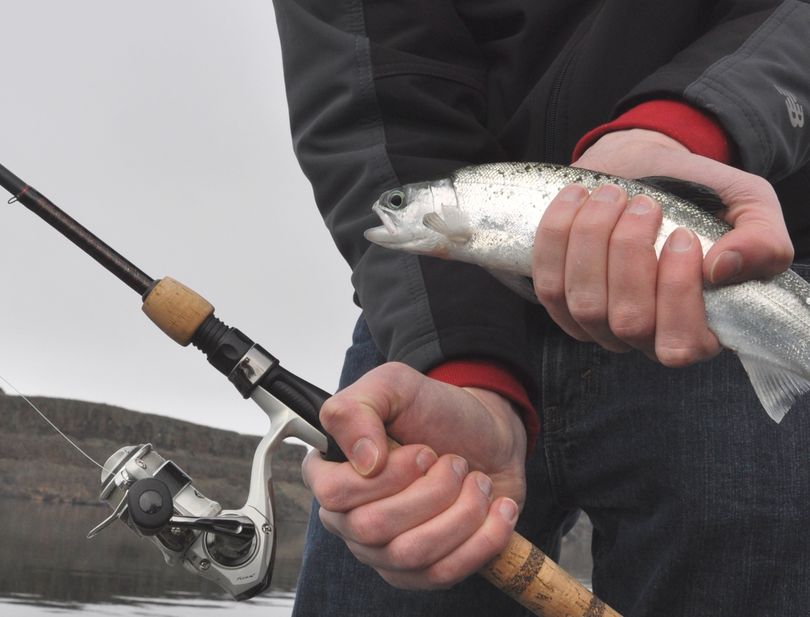 Fishing for hatchery-produced steelhead at Rock Lake in Whitman County. (Rich Landers)