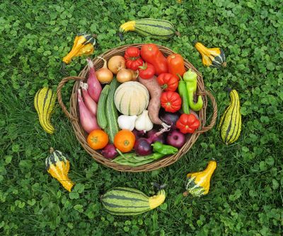 Remember to savor the late-season bounty from your vegetable garden.  (By Susan Mulvihill/For The Spokesman-Review)