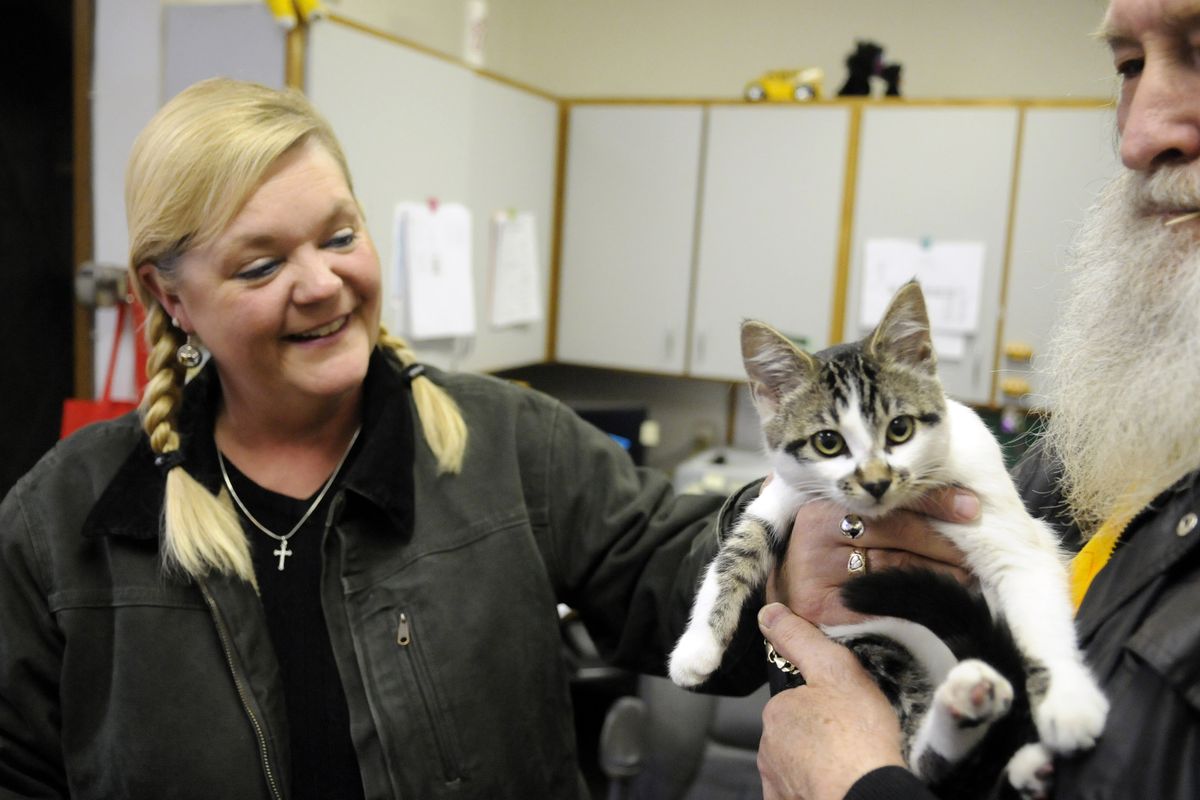 Freeman School District bus drivers Katie Youngren and Dan Peery pet Eve, the adopted bus barn cat, Wednesday. When the kitten was found under a construction Dumpster near the bus barn last fall, Youngren and fellow bus drivers adopted the cat.  Youngren has written a children’s book called “Itty Bitty School Bus Kitty, a True Story.”  (J. BART RAYNIAK)