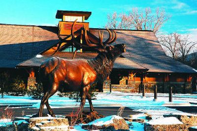 
It would be hard to miss the Rocky Mountain Elk Foundation building in Missoula with the life-size bronze elk bugling in front. The $14 million 70,000 square-foot building contains the international headquarters and visitor center. 
 (photos by Mike Brodwater / The Spokesman-Review)