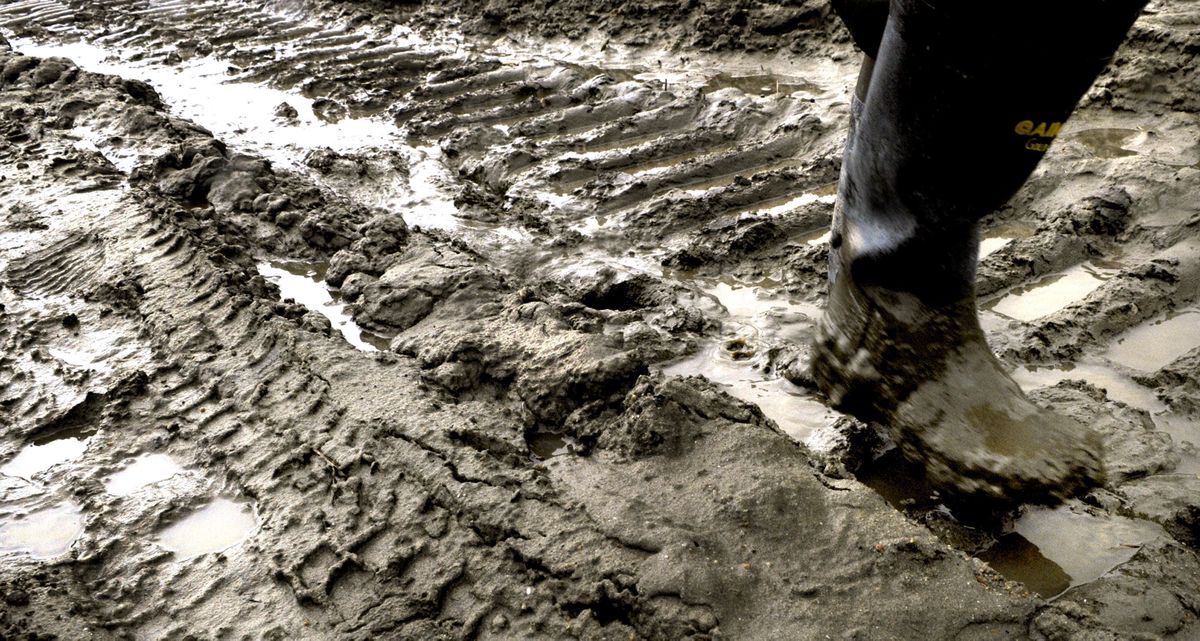 Idaho Fish and Game mitigation staff biologist Katherine Cousins makes her way through the mud of the Pack River Delta, east of Sandpoint. (Kathy Plonka / The Spokesman-Review)