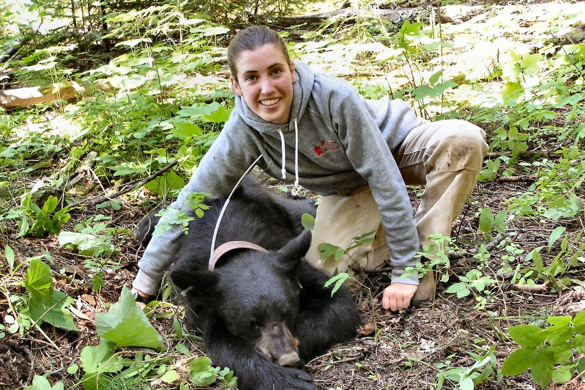 Moore poses with a 140-pound black bear that was trapped by Fish and Game in the Purcell Moutains of North Idaho in 2004.Courtesy of Barb Moore (Courtesy of Barb Moore / The Spokesman-Review)