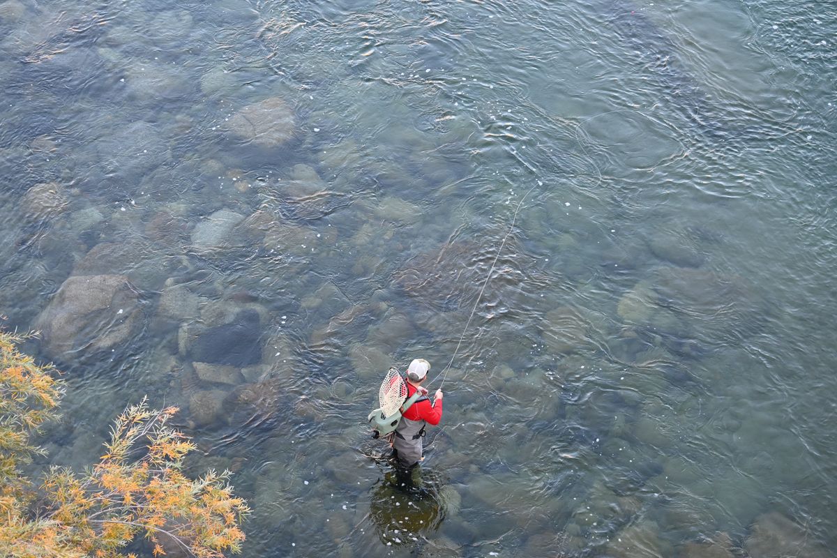 An angler fishes the Methow River on opening day on Wednesday.  (Courtesy of WDFW)