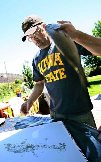 
Doug Young inspects a print made from a small mouth bass at his home near Wendell, Idaho, on Thursday. 
 (Associated Press / The Spokesman-Review)