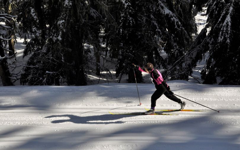 Lou Slak, 72, strides out in the 10-kilometer Spokane Langlauf cross-country ski race at Mount Spokane on Feb. 21, 2016.  Slak has seven grandkids, all of whom are expected to be on Team Grandman for Langlauf in 2017.
 (Rich Landers)