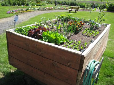 The Georgeson Botanical Garden at the University of Alaska Fairbanks has a demonstration vegetable garden that includes this accessible raised bed. Special to  (SUSAN MULVIHILL Special to / The Spokesman-Review)