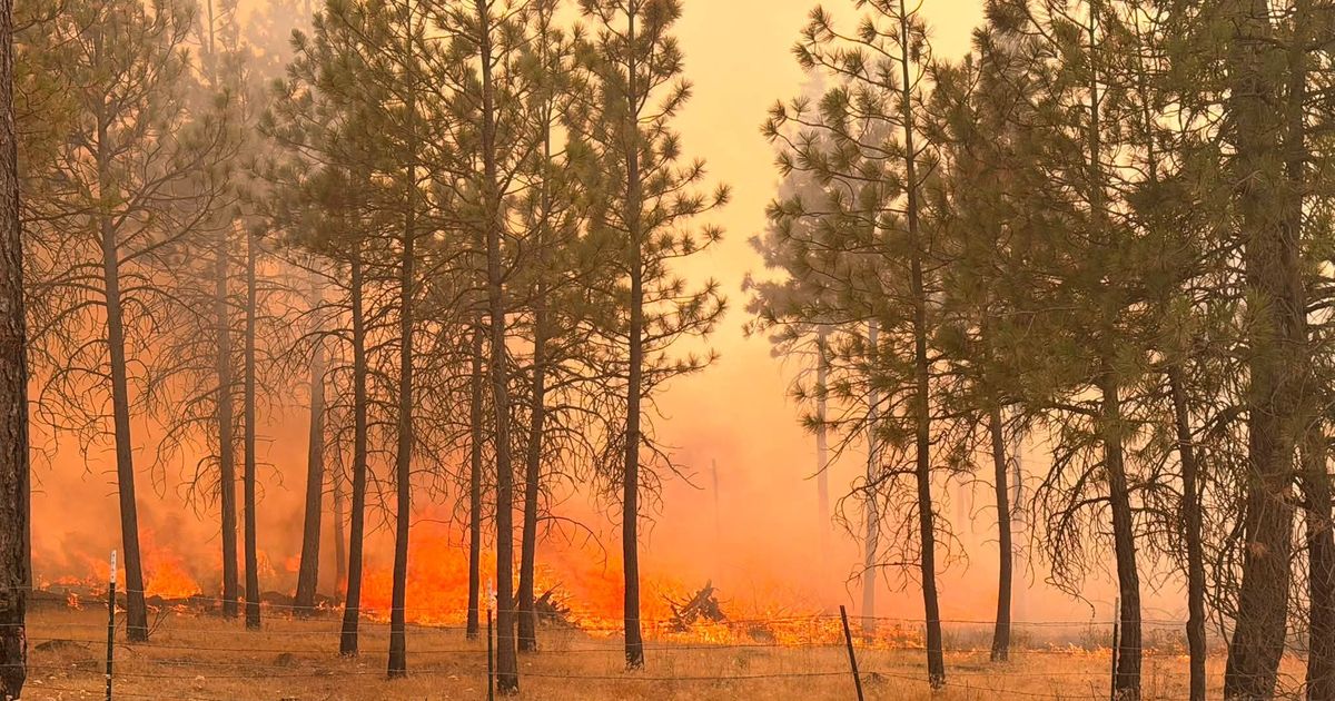 Malden, destroyed by fire in 2020, evacuated for Saturday fire that's grown to about 1,000 acres