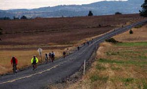 
Cyclists on the Spokane Bicycle Club's Autumn Century Ride. Cyclists on the Spokane Bicycle Club's Autumn Century Ride. 
 (Rich Landers/Rich Landers/ / The Spokesman-Review)