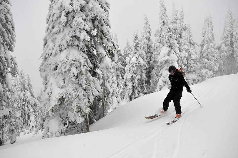 Brad McQuarrie, right, manager of Mt. Spokane Ski and Snowboard Park, skis down a road on the undeveloped Northwest side of the mountain on Friday, March 11, 2011.  The area is only used by advanced skiers who leave the patrolled boundaries of the park, but the ski area would like to open the Northwest face of the mountain in a proposed expansion by adding runs through timber and some open glades. (Jesse Tinsley / The Spokesman-Review)