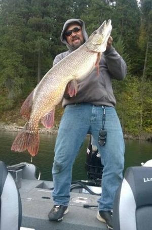 A North Idaho angler boats a huge northern pike. (Courtesy)