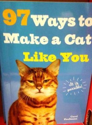 How to make a cat like you
