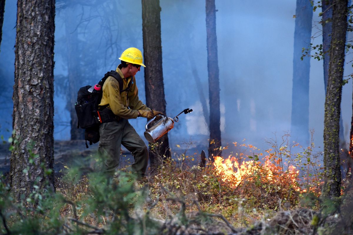 In the aftermath of the fire that swept through a rural area south of Spokane, firefighters sent a back up burn to get rid of fuels on the ground, Sunday, August 21, 2016. (Jesse Tinsley / The Spokesman-Review)