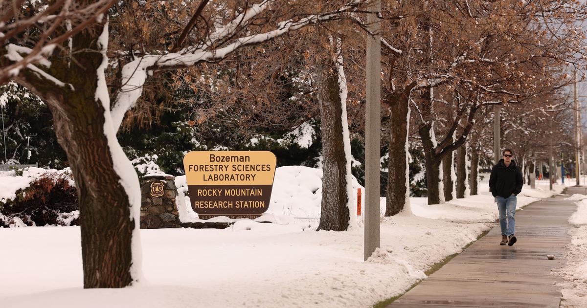 Forest Service will close research stations that study wildfire risk
