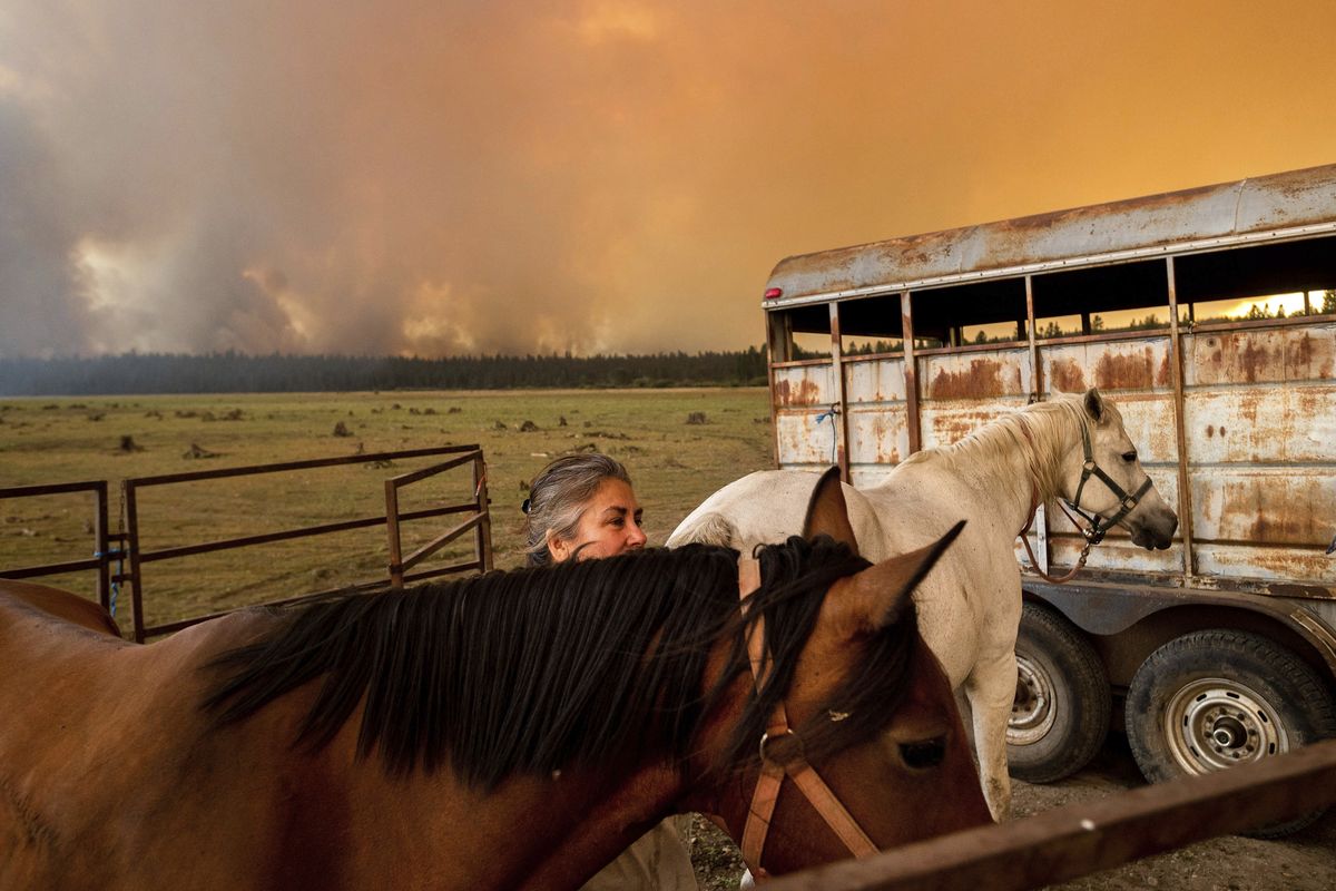 Dawn Garofalo settles her horses in a temporary enclosure on the shore of Lake Almanor as the Dixie Fire approaches Chester, Calif, on Tuesday.  (Noah Berger)