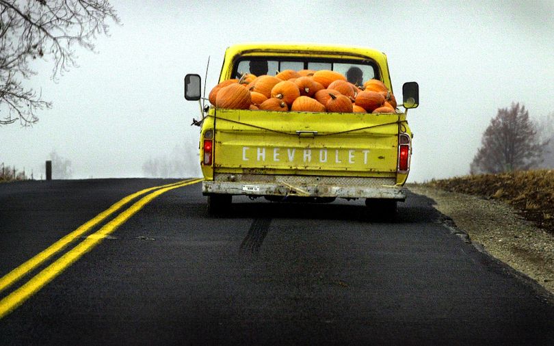 Mark Carmichael transports a load of pumpkins from his Greenbluff orchard to a Spokane supermarket. (Photo Archive / The Spokesman-Review)