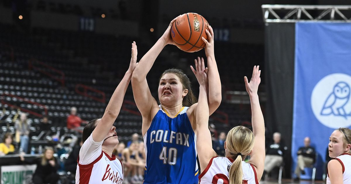 Colfax Basketball Standout Brynn McGaughy Grabbing National Attention ...