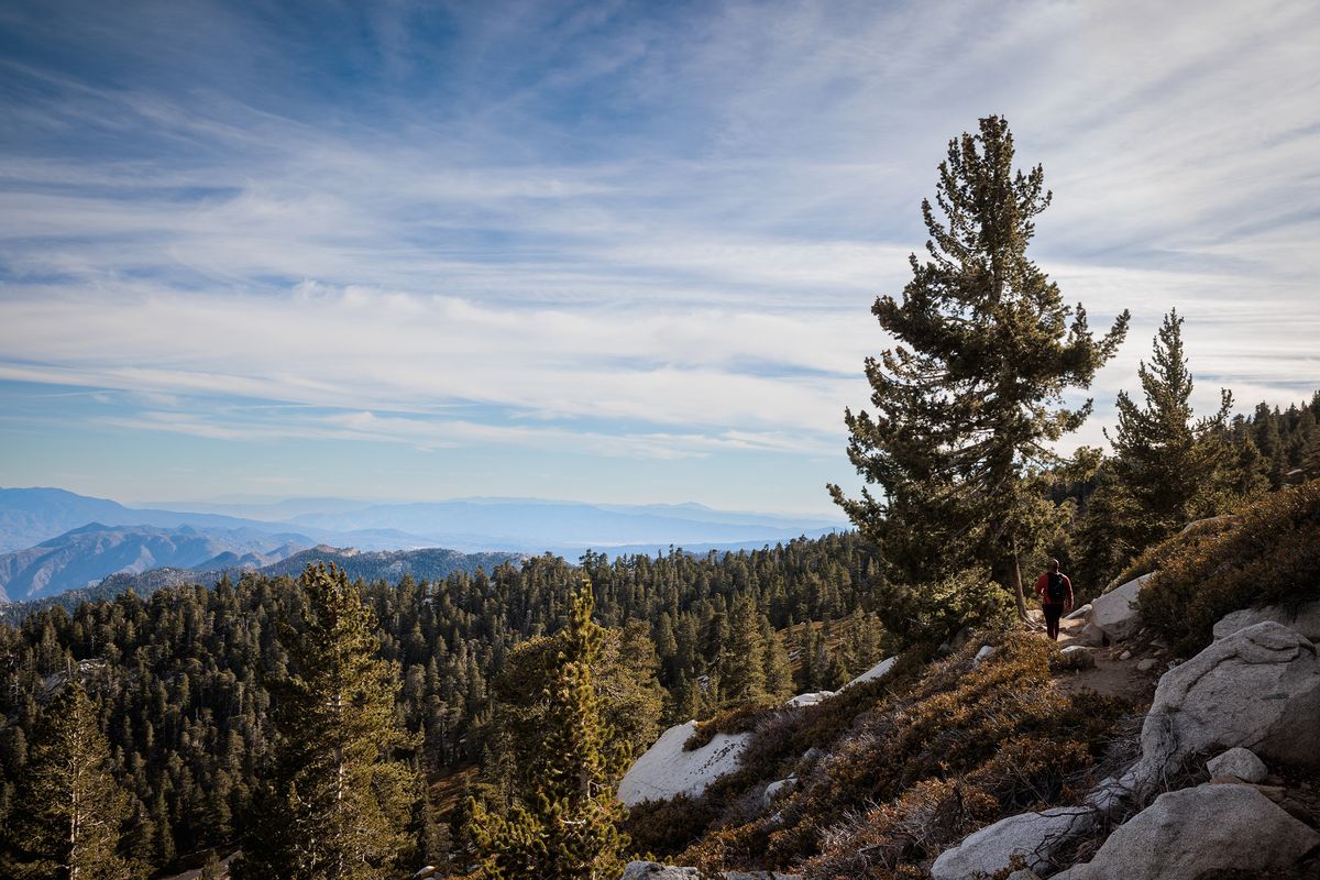 Open views at the summit of the Cactus to Clouds trail, on Mount San Jacinto near Palm Springs, Calif., on Dec. 8, 2024. The Cactus to Clouds ascent just outside Palm Springs, Calif., is grueling, but natural treasures, and a speedy trip down, await anyone who is up to the challenge. (New York Times)