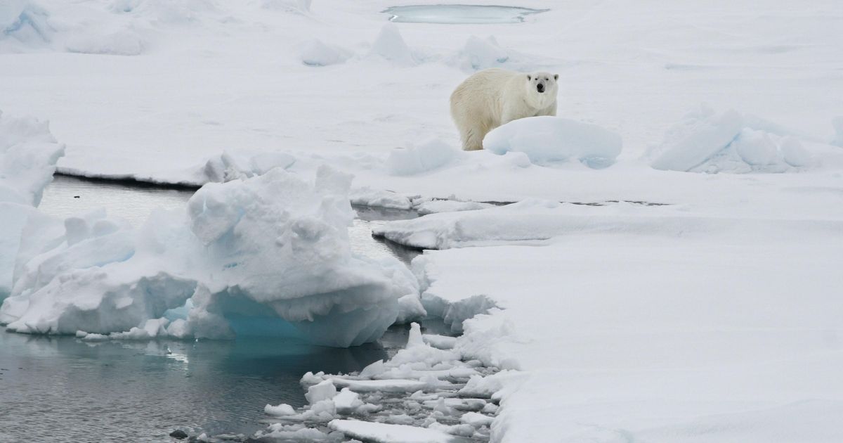 Svalbard sees ‘shocking’ temperatures near freezing point | The ...