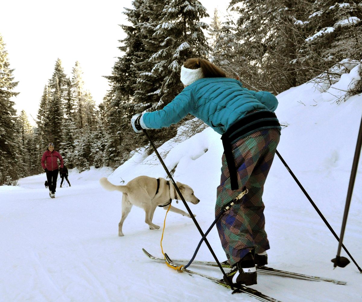 With a rope between her legs and under her skis, Mia McGinnity gets a quick lesson in tug-line management from her dog, Millie, in their first try at skijoring during a clinic at Winterfest held Sunday in Mount Spokane State Park. Instructor Kate Burns runs to the rescue. RICH LANDERS richl@spokesman.com (Rich Landers / The Spokesman-Review)