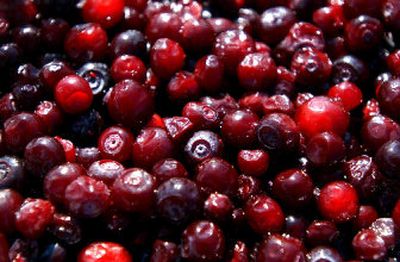 
Weekend Shors---- Wes Raynor and his family sells huckleberries from their home on Government Way in Hayden for $10.50 per quart.Kathy Plonka / 
 (Kathy Plonka / The Spokesman-Review)