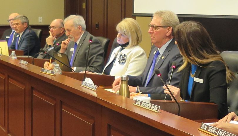 The Senate Education Committee meets on Thursday, Feb. 22, 2018 at the Idaho state Capitol; the panel voted to approve proposed new school science standards, after three years of legislative debate. (Betsy Z. Russell)