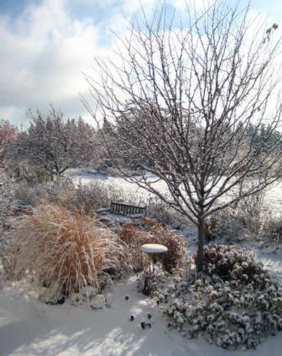 There is still a great deal of beauty to be found in our gardens after the snow flies.
(Susan Mulvihill/For / The Spokesman-Review)