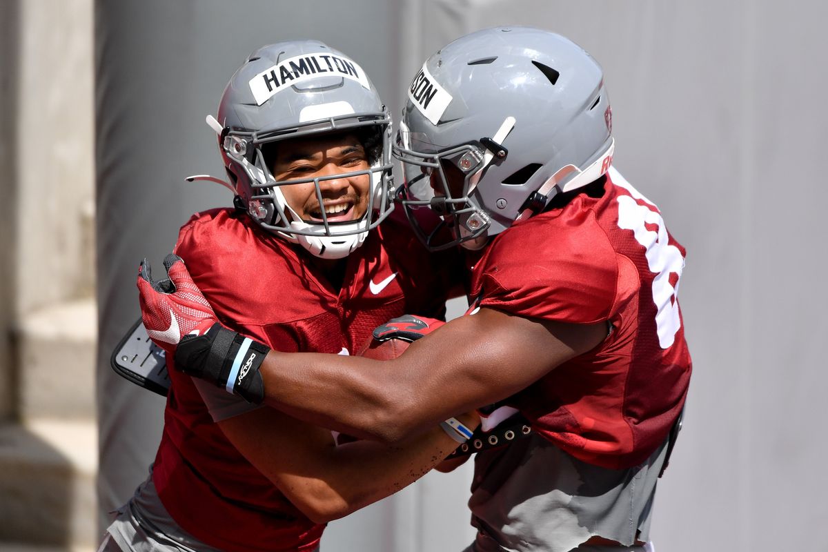 Washington State Cougars wide receiver Isaiah Hamilton, left, and tight end Cameron Johnson celebrate after a touchdown during WSU’s first fall camp scrimmage on Saturday, Aug. 12, 2023, at Gesa Field in Pullman. (Tyler Tjomsland/The Spokesman-Review)