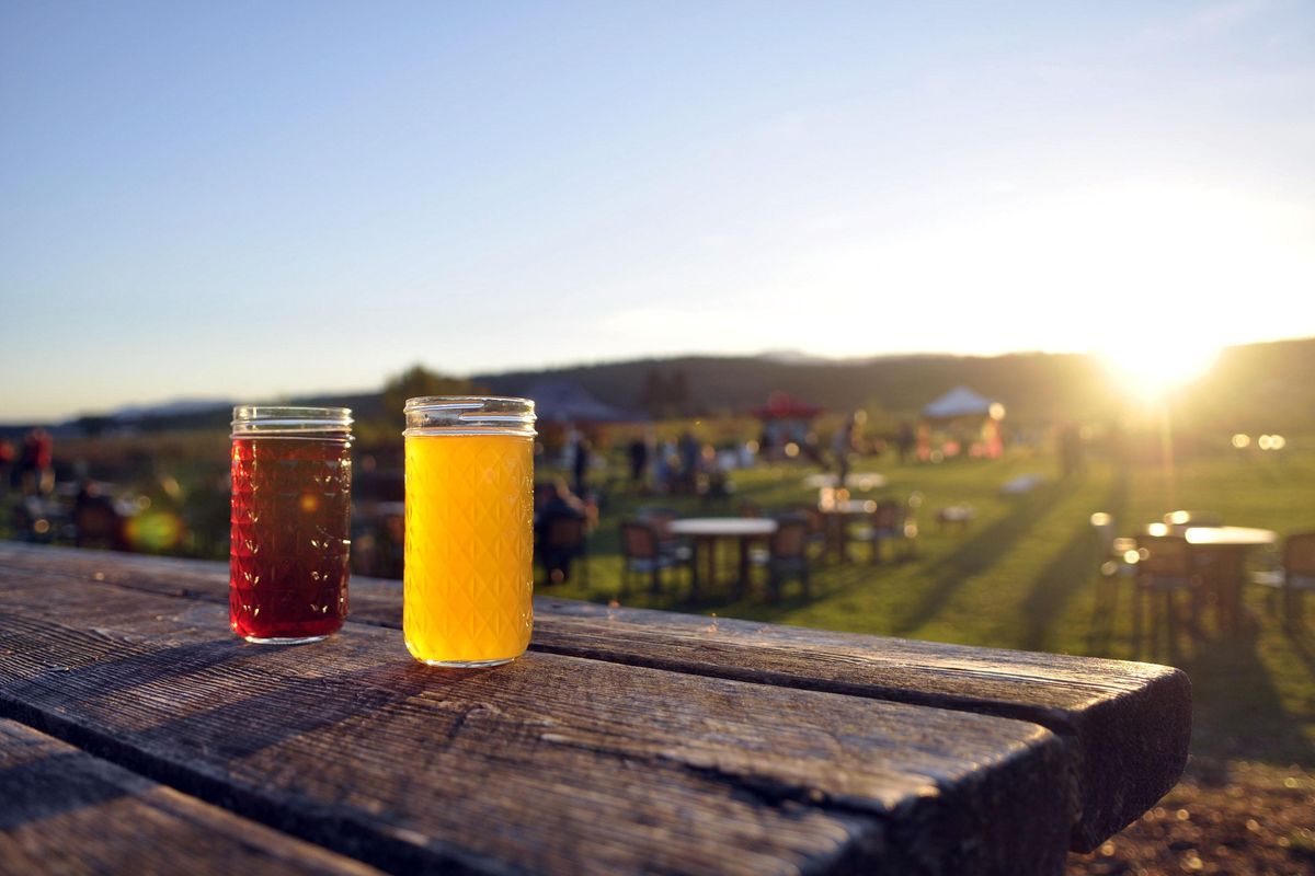 Late afternoon sun shines through a couple of jars of hard cider at Finnriver Farm and Cidery in Chimacum, located about 10 miles south of Port Townsend. (JOHN GUENTHER)