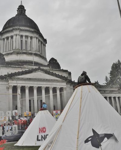 OLYMPIA – Environmental protesters set up “tarpees” on the lawn between the domed Legislative Building and the Temple of Justice during the first week of the session. (Jim Camden / The Spokesman-Review)