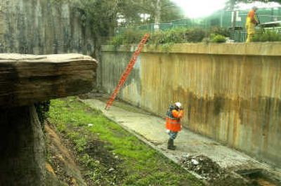 
Workers at the San Francisco Zoo fortify a lion enclosure Thursday, nine days after a tiger mauled three visitors.
 (The Spokesman-Review)
