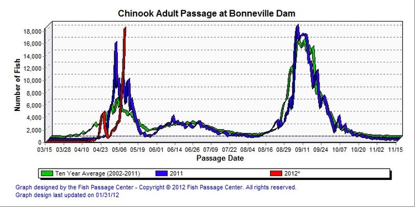 Spring chinook salmon counts over Bonneville Dam, reported May 10, 2012. (Fish Passage Center)