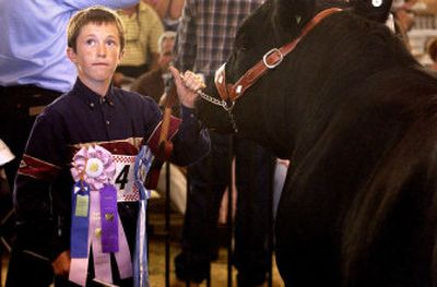 
Chad Booth, 13, of Post Falls wears his own awards for showmanship while in the sales ring with his steer, GusGus, Saturday at the 4-H livestock sale at the North Idaho Fair. 
 (Jesse Tinsley / The Spokesman-Review)