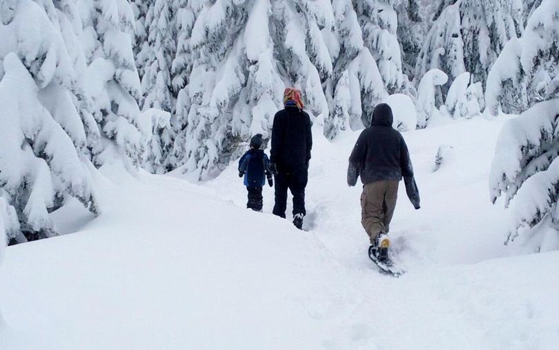 Winter trekkers make snowshoe tracks on a trail at Mount Spokane State Park. (Tanner Grant)